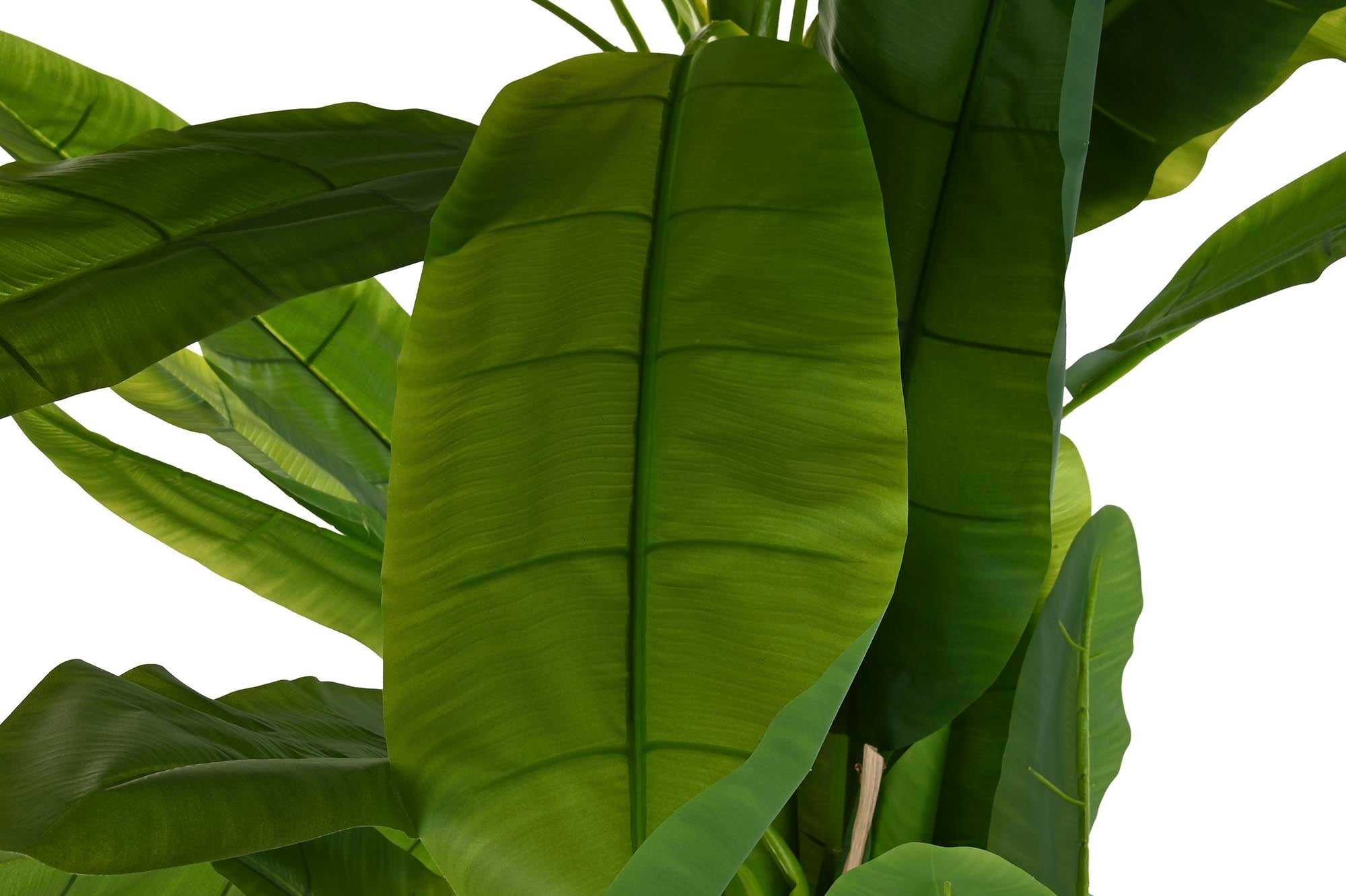 PACK DE 2 PLANTA POLIESTER PP 90X90X240 PALMERA BANANERA