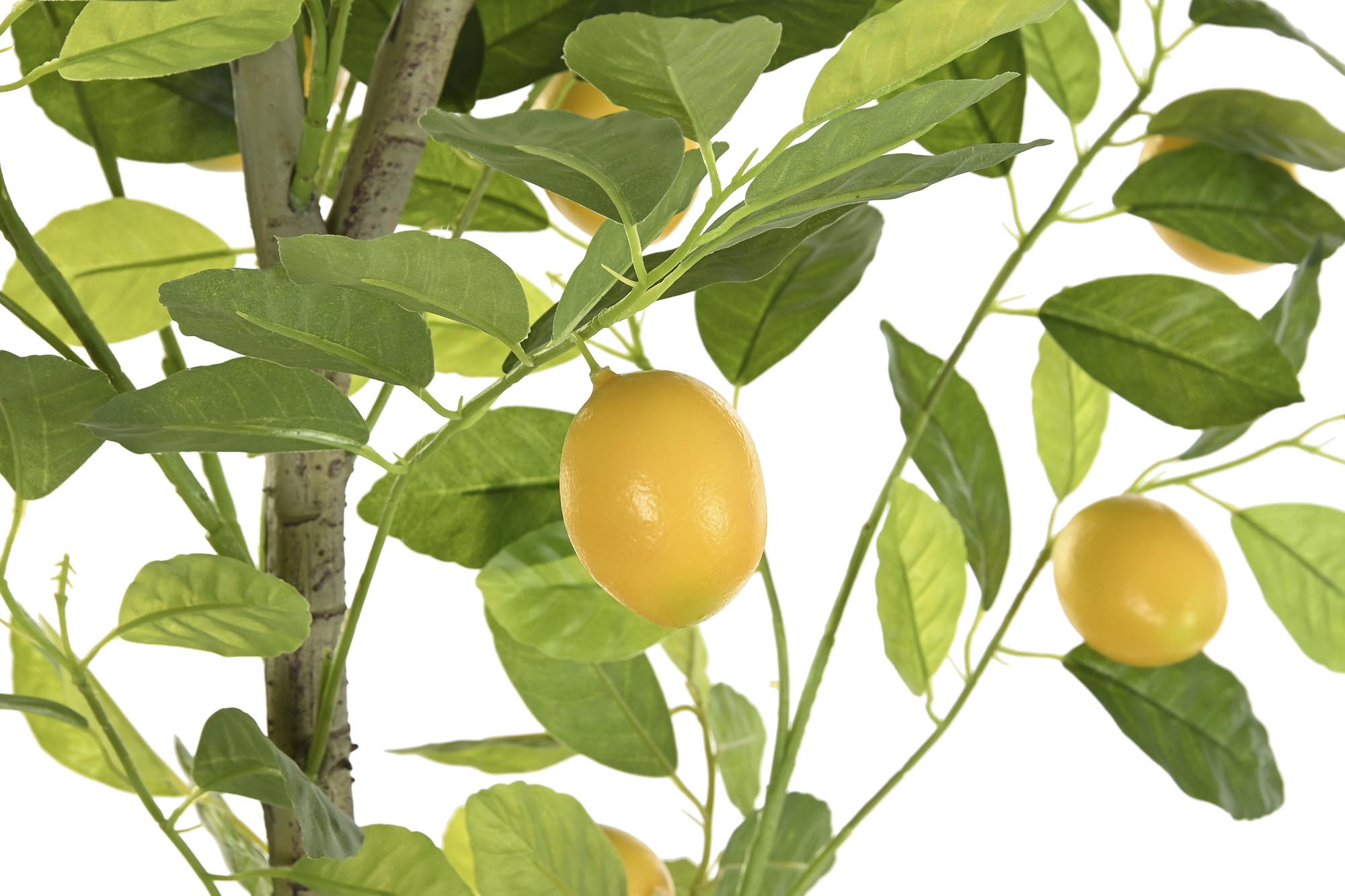 ARBOL POLIESTER PP 90X90X180 LIMONERO VERDE - Imagen 2