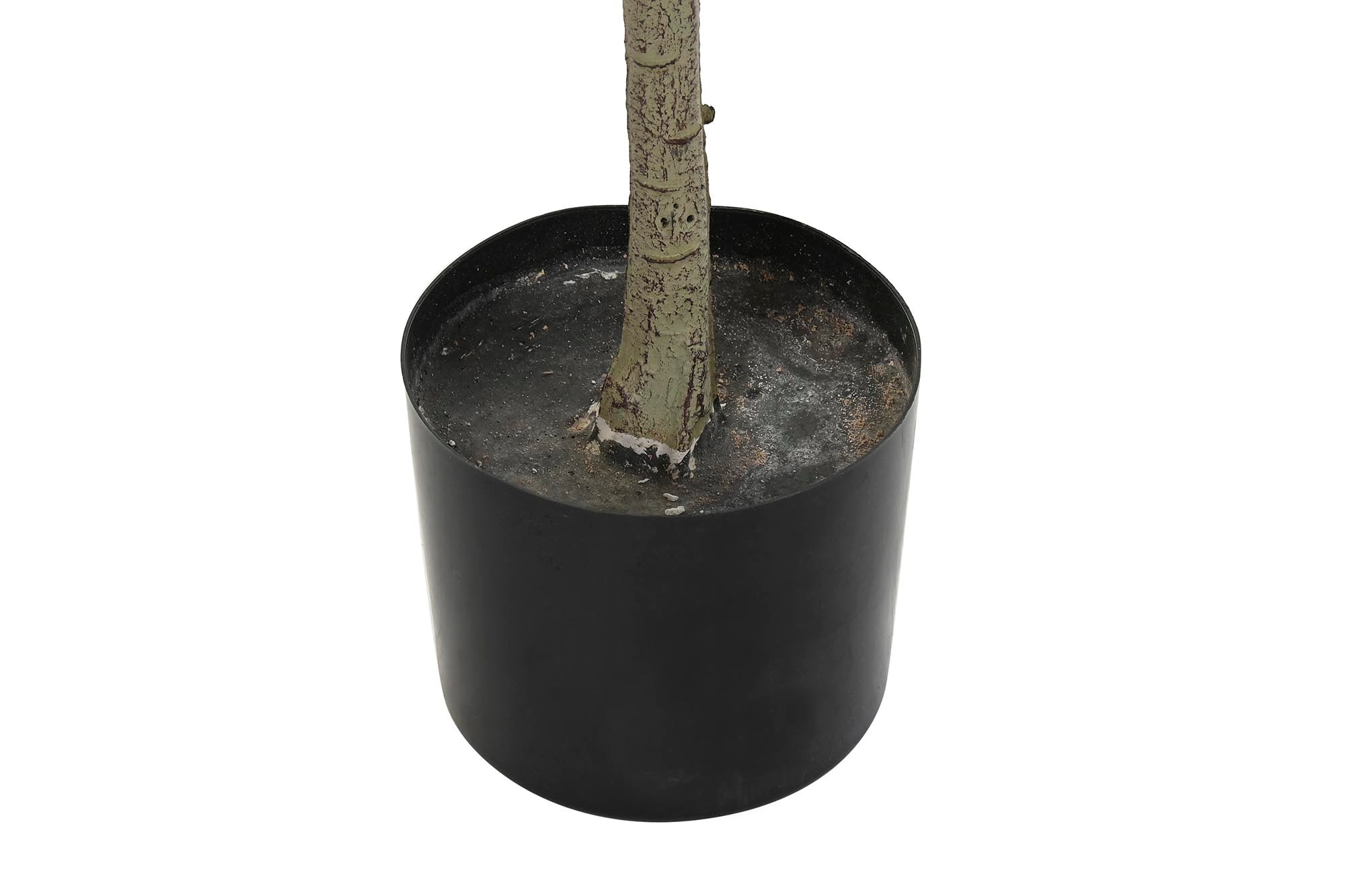 ARBOL POLIESTER PP 90X90X180 LIMONERO VERDE - Imagen 4