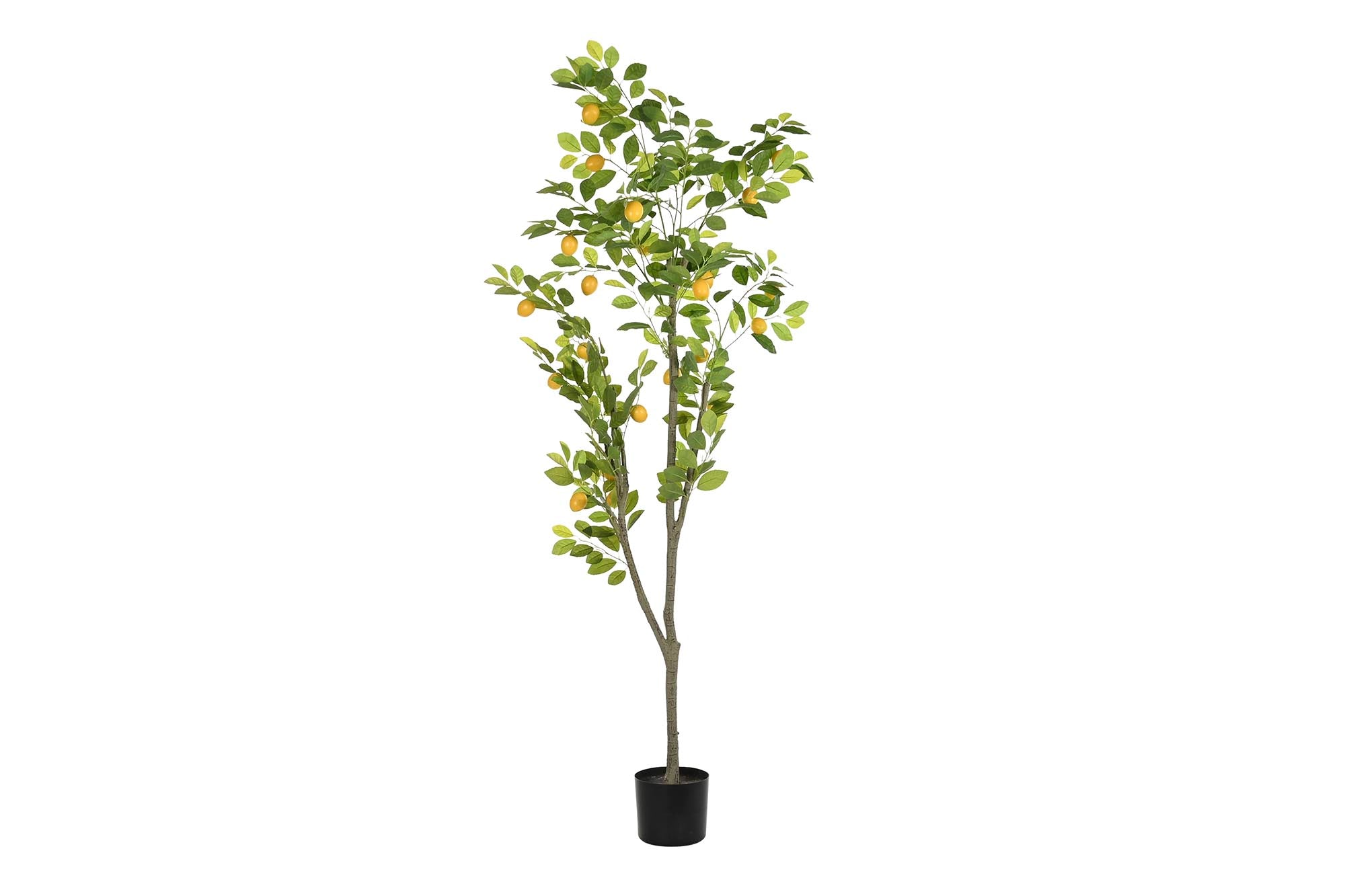 ARBOL POLIESTER PP 90X90X180 LIMONERO VERDE - Imagen 1