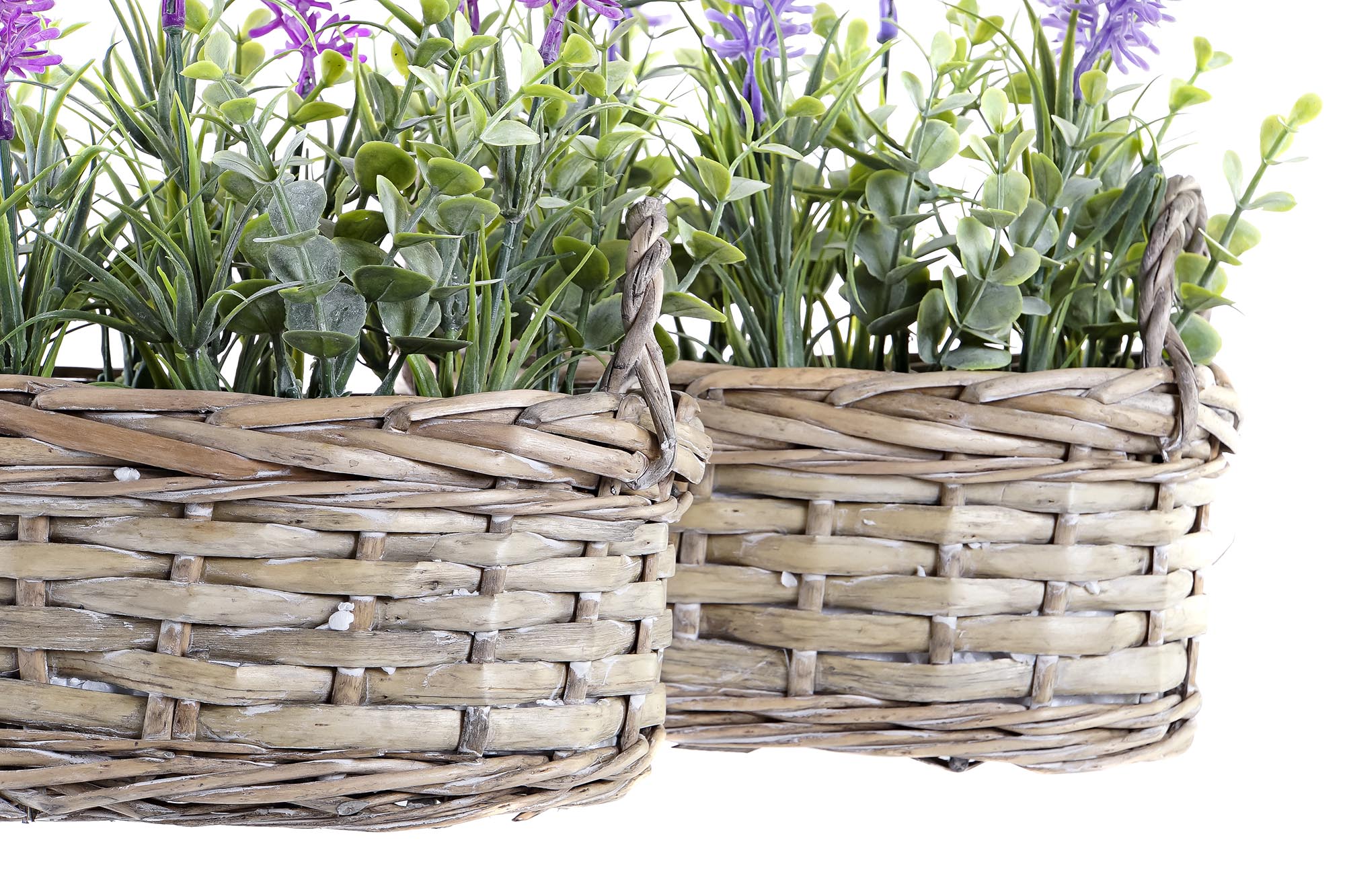 PACK DE 4 PLANTA MIMBRE PE 19X12X22 LAVANDA 2 SURT.