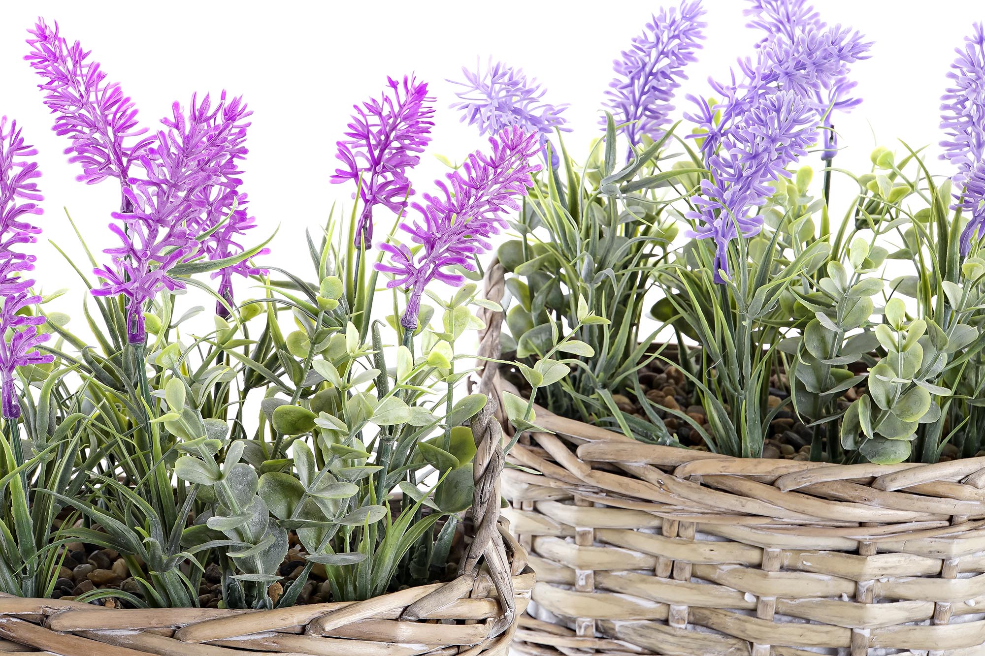 PACK DE 4 PLANTA MIMBRE PE 19X12X22 LAVANDA 2 SURT.