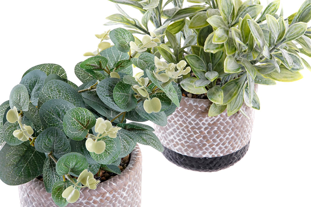 PACK DE 6 PLANTA RESINA PE 12X12X24 2 SURT.