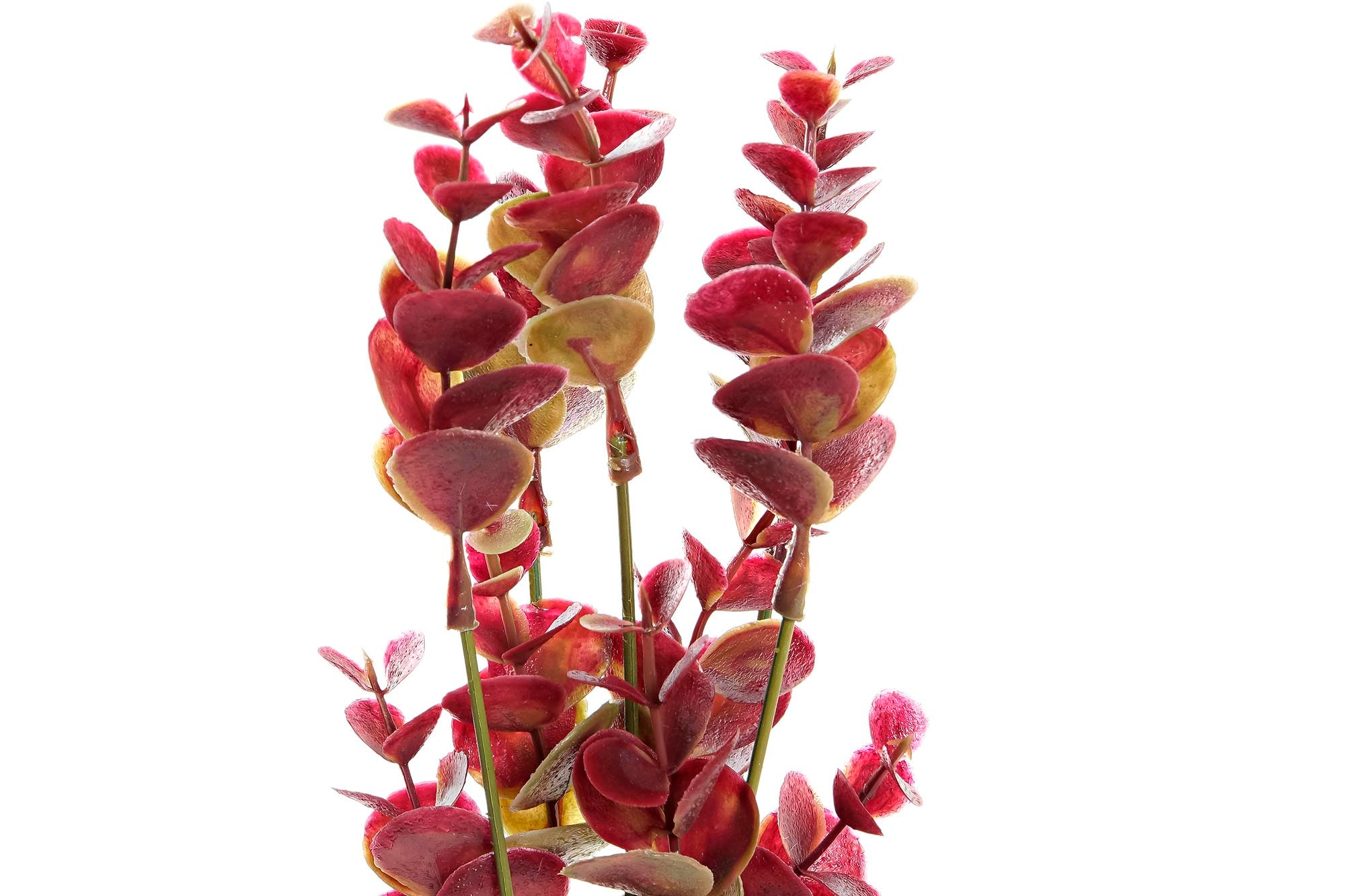 PACK DE 48 RAMA PE METAL 9X9X34 4 SURT.