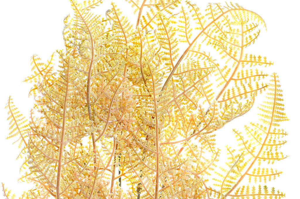 PACK DE 24 RAMA PE METAL 12X12X46 2 SURT.