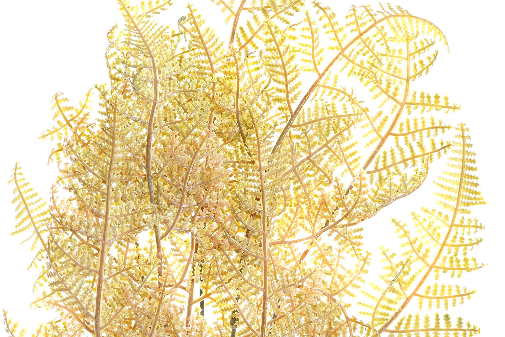 PACK DE 24 RAMA PE METAL 12X12X46 2 SURT.