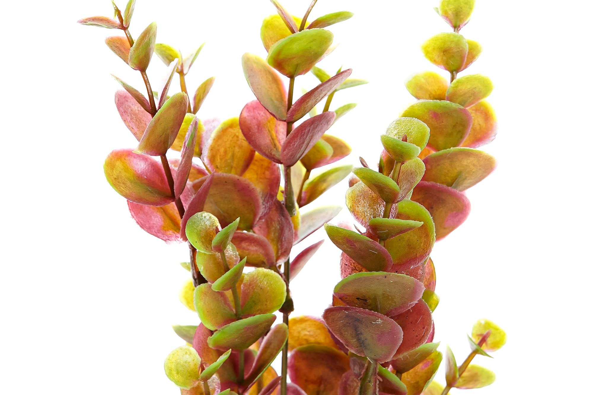 PACK DE 48 RAMA PE METAL 10X10X36 4 SURT.