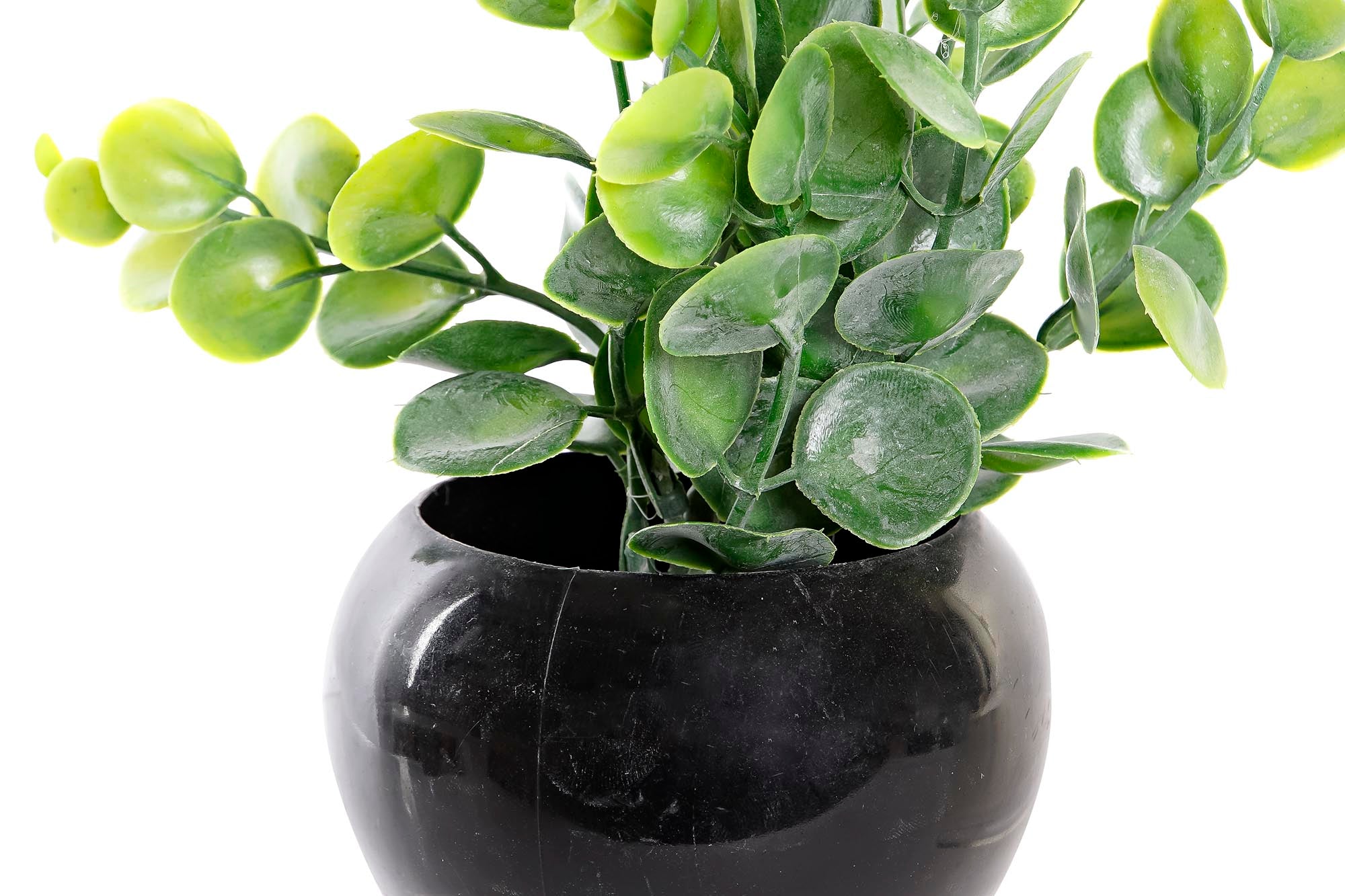 PACK DE 12 PLANTA PE METAL 12X12X15 2 SURT.