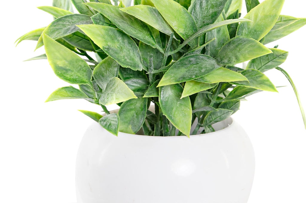 PACK DE 12 PLANTA PE METAL 12X12X15 2 SURT.