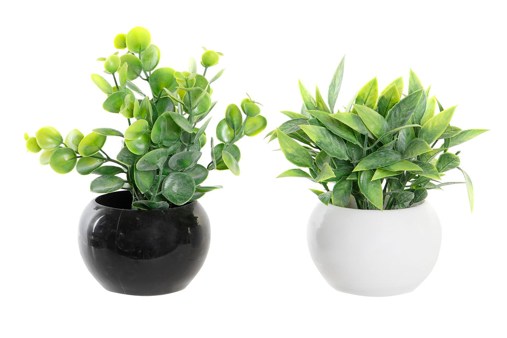 PACK DE 12 PLANTA PE METAL 12X12X15 2 SURT.