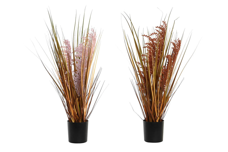 PACK DE 4 PLANTA PE 9,5X9,5X60 2 SURT.