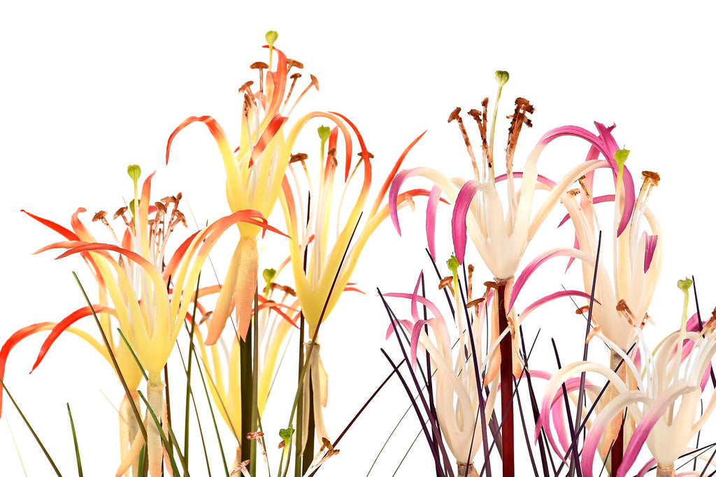 PACK DE 2 PLANTA PVC METAL 25X25X88 LIRIO ARAÑA 2 SURT.