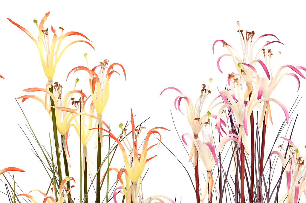 PACK DE 2 PLANTA PVC METAL 35X35X114 LIRIO ARAÑA 2 SURT.