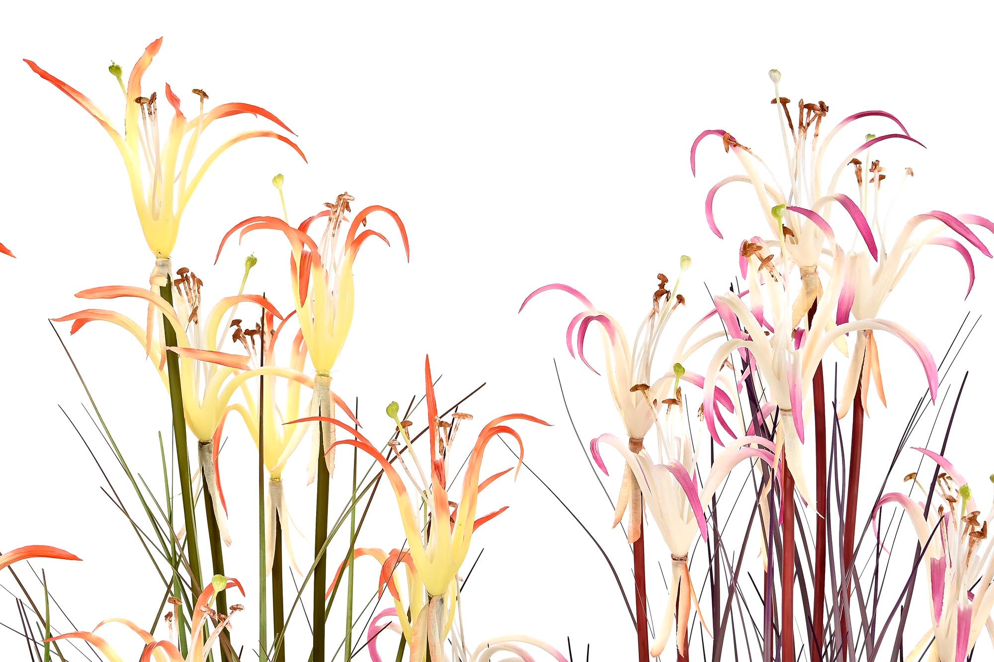 PACK DE 2 PLANTA PVC METAL 35X35X114 LIRIO ARAÑA 2 SURT.