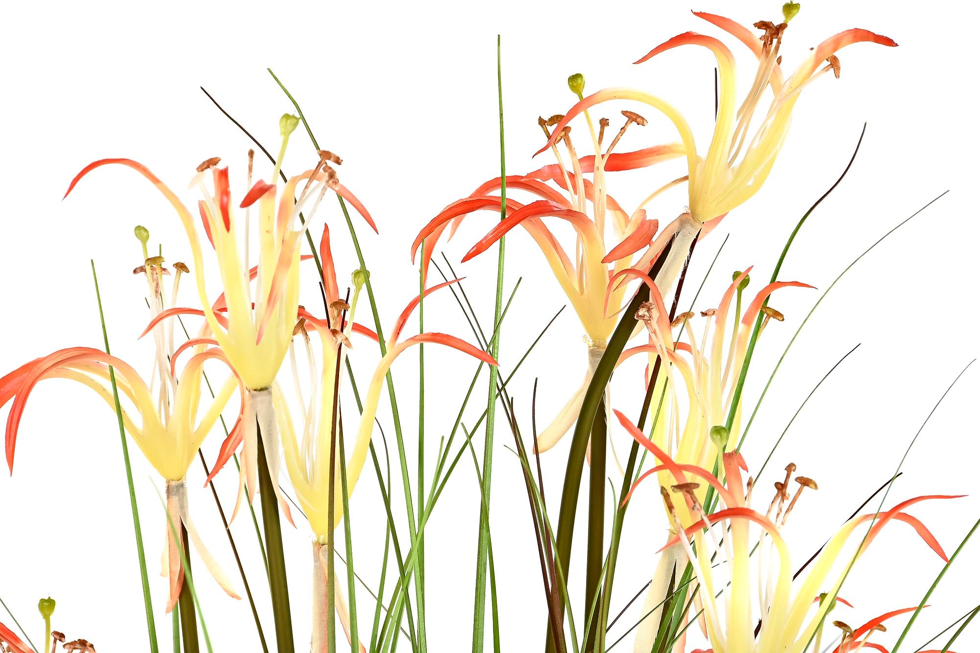 PACK DE 2 PLANTA PVC METAL 45X45X140 LIRIO ARAÑA 2 SURT.