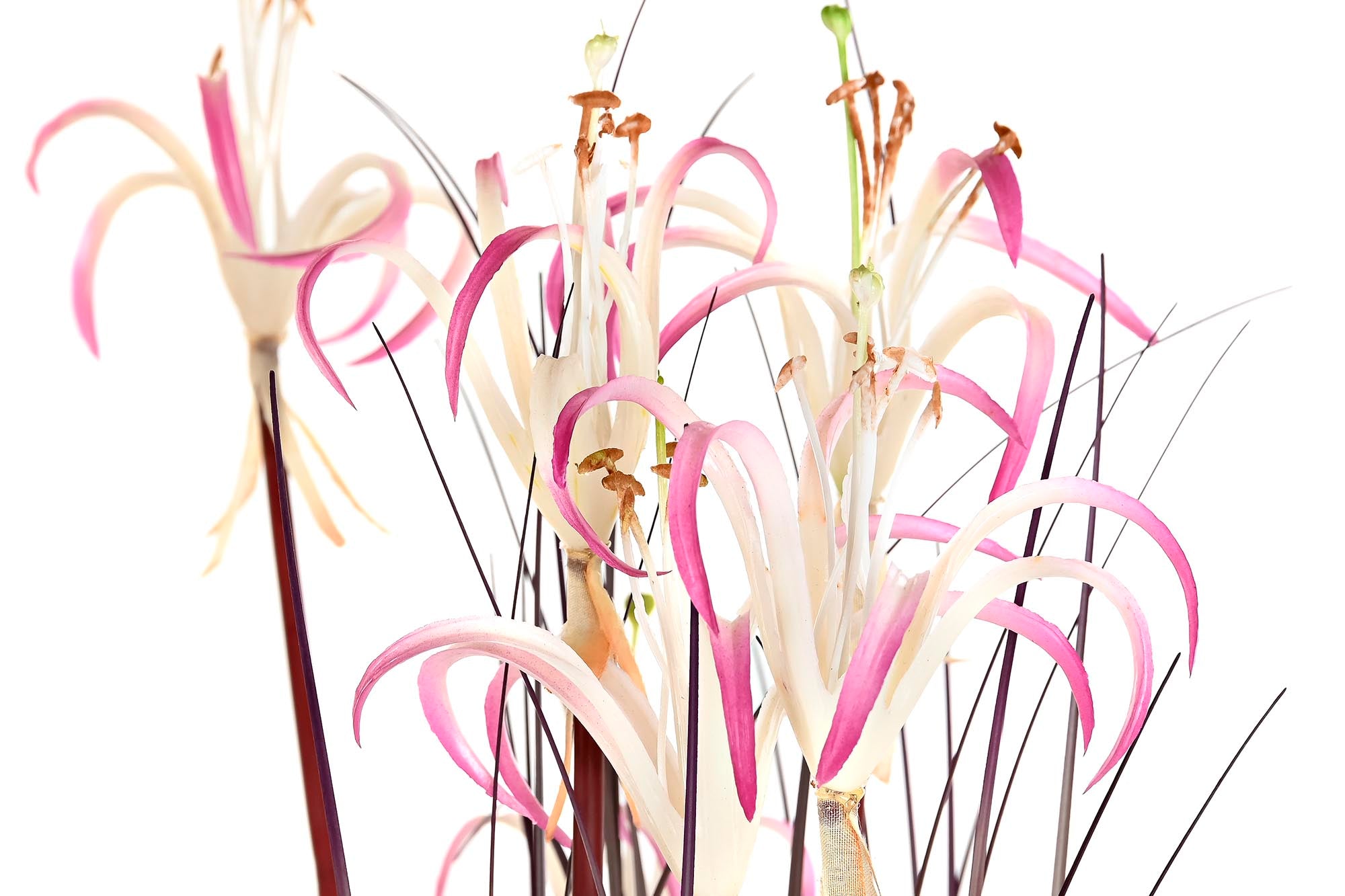 PACK DE 2 PLANTA PVC METAL 45X45X140 LIRIO ARAÑA 2 SURT.