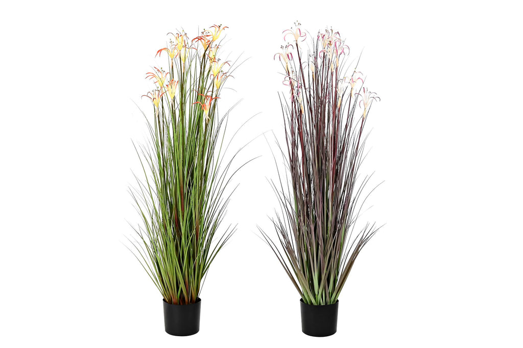 PACK DE 2 PLANTA PVC METAL 45X45X140 LIRIO ARAÑA 2 SURT.