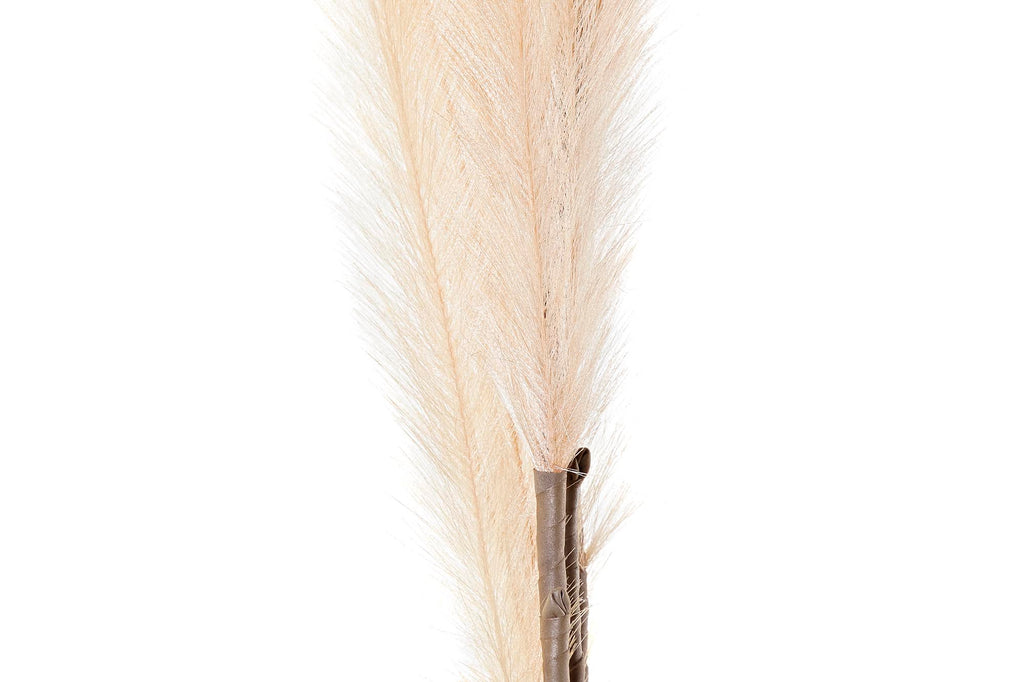 PACK DE 6 RAMA PE 30X30X170 PLUMERO 3 SURT.