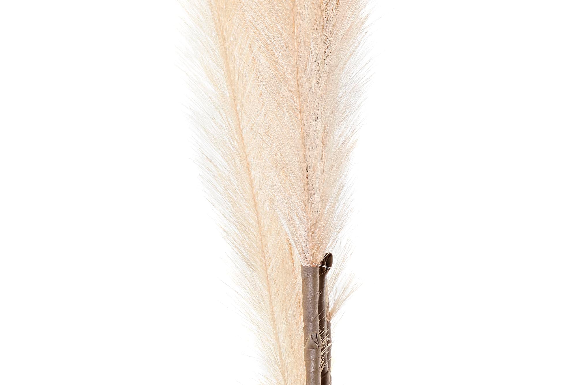 PACK DE 6 RAMA PE 30X30X170 PLUMERO 3 SURT.