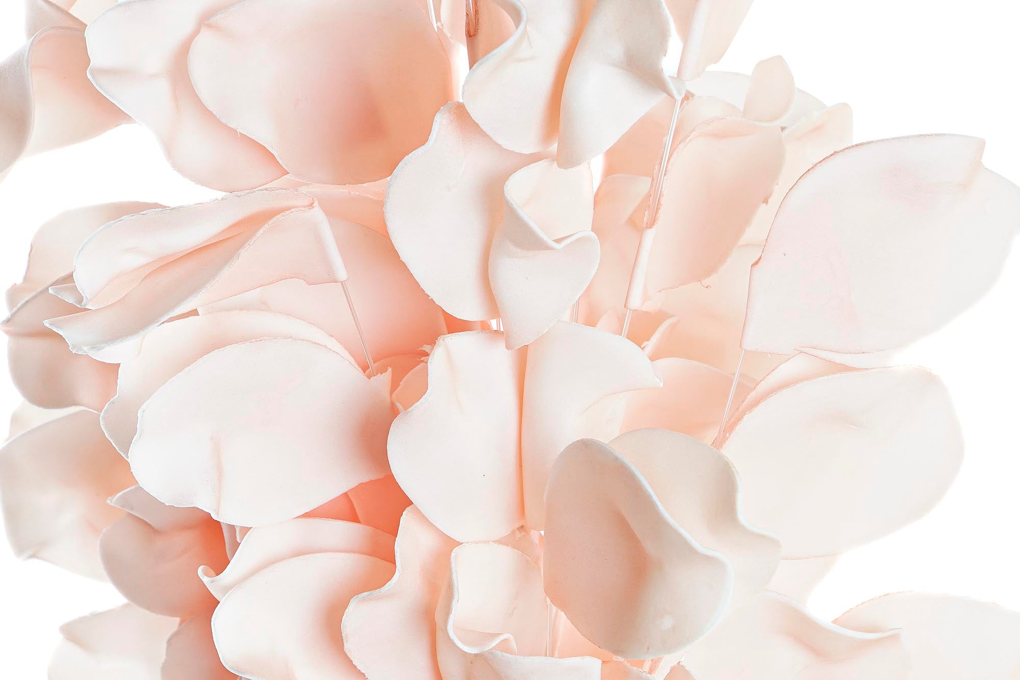 PACK DE 6 RAMA PE 20X20X102 2 SURT.