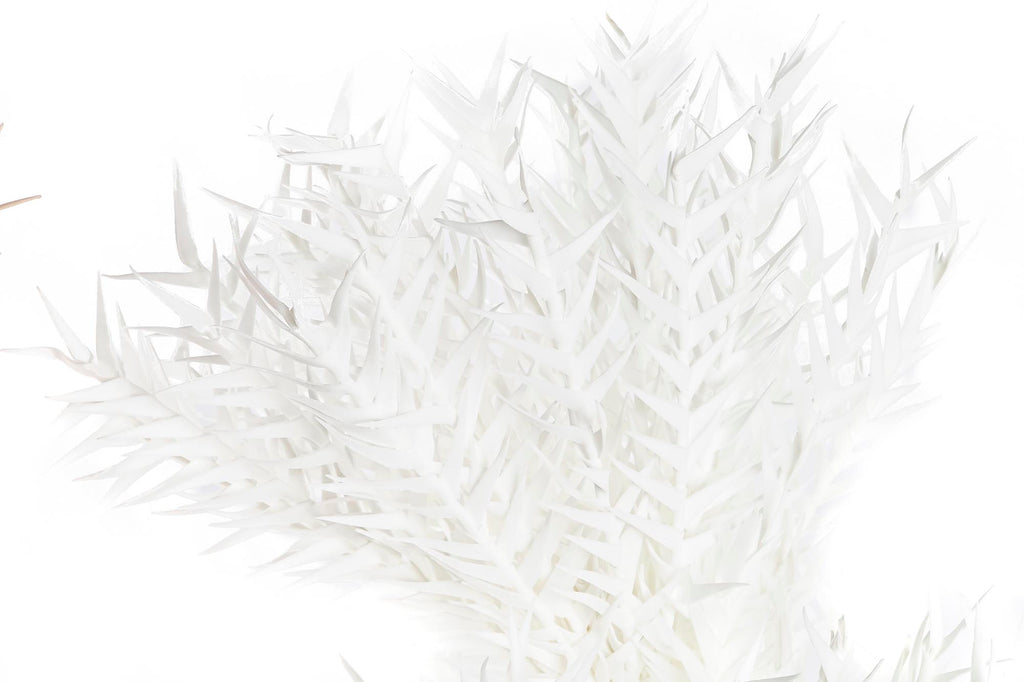 PACK DE 6 RAMA EVA PE 23X23X103 2 SURT.