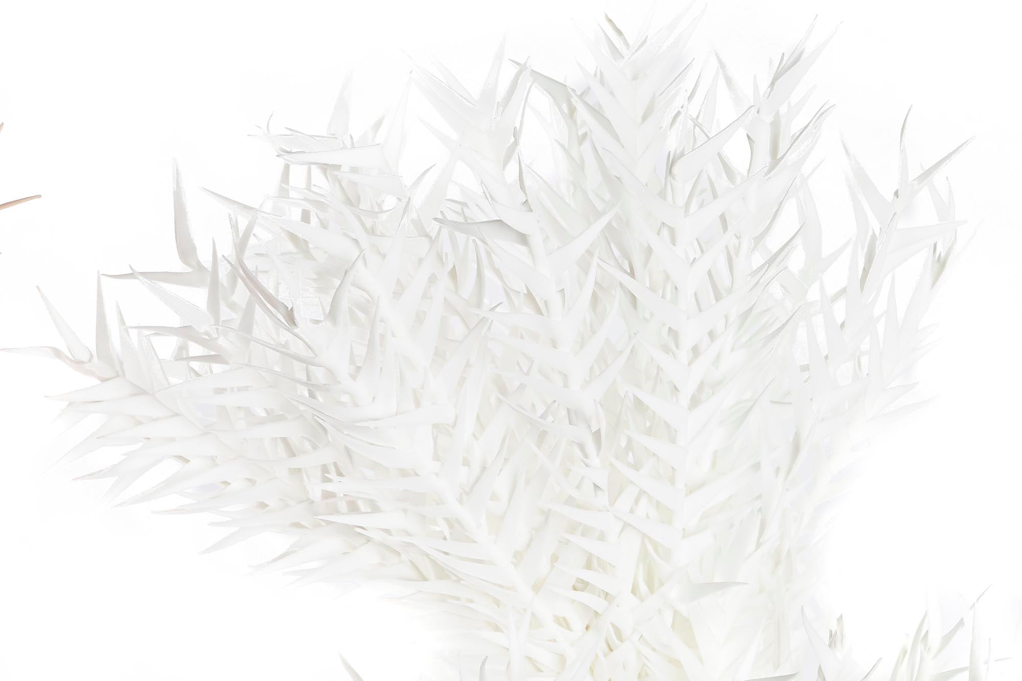 PACK DE 6 RAMA EVA PE 23X23X103 2 SURT.