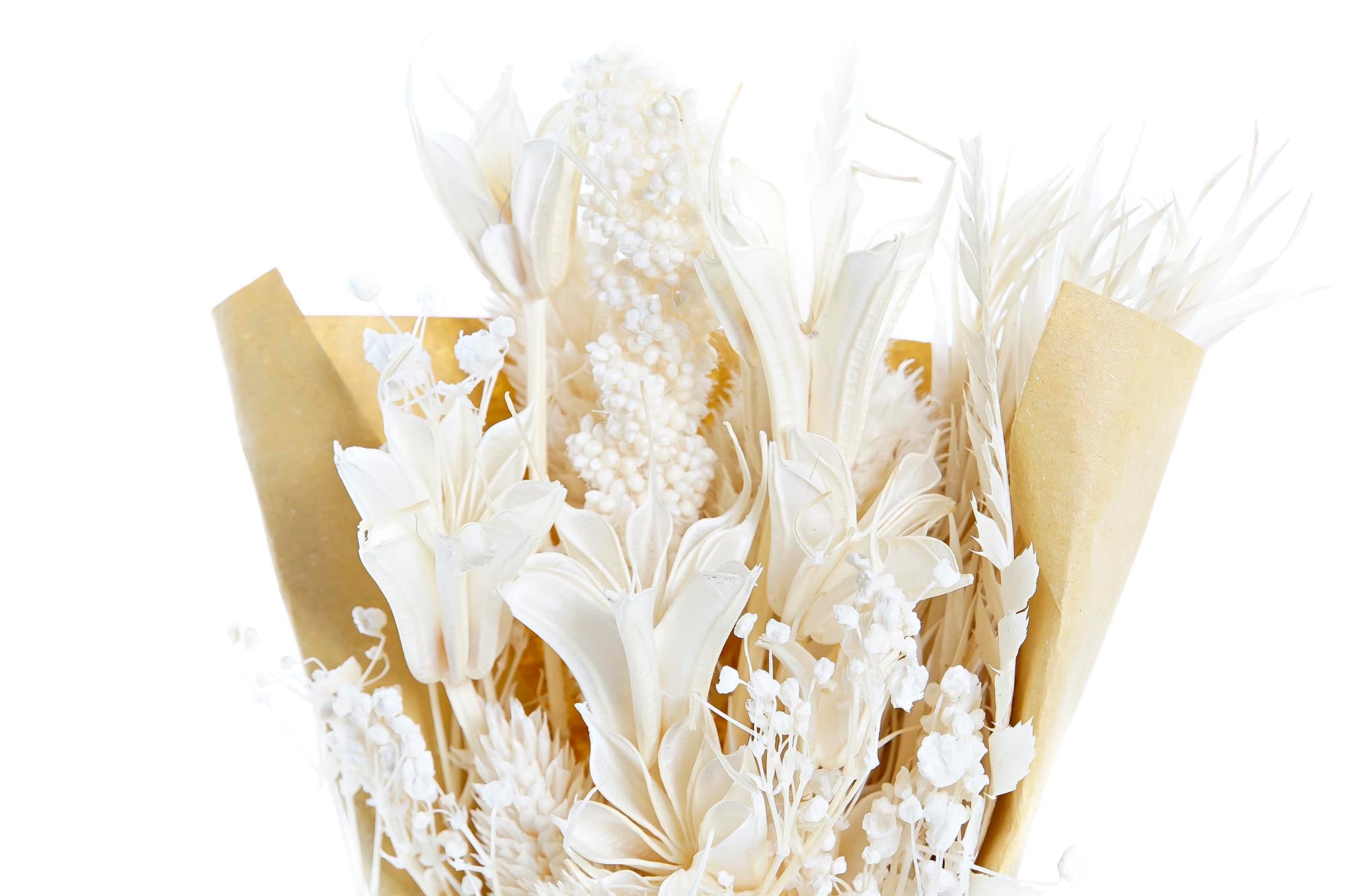 PACK DE 6 RAMO FLOR SECA 10X5X18 2 SURT.