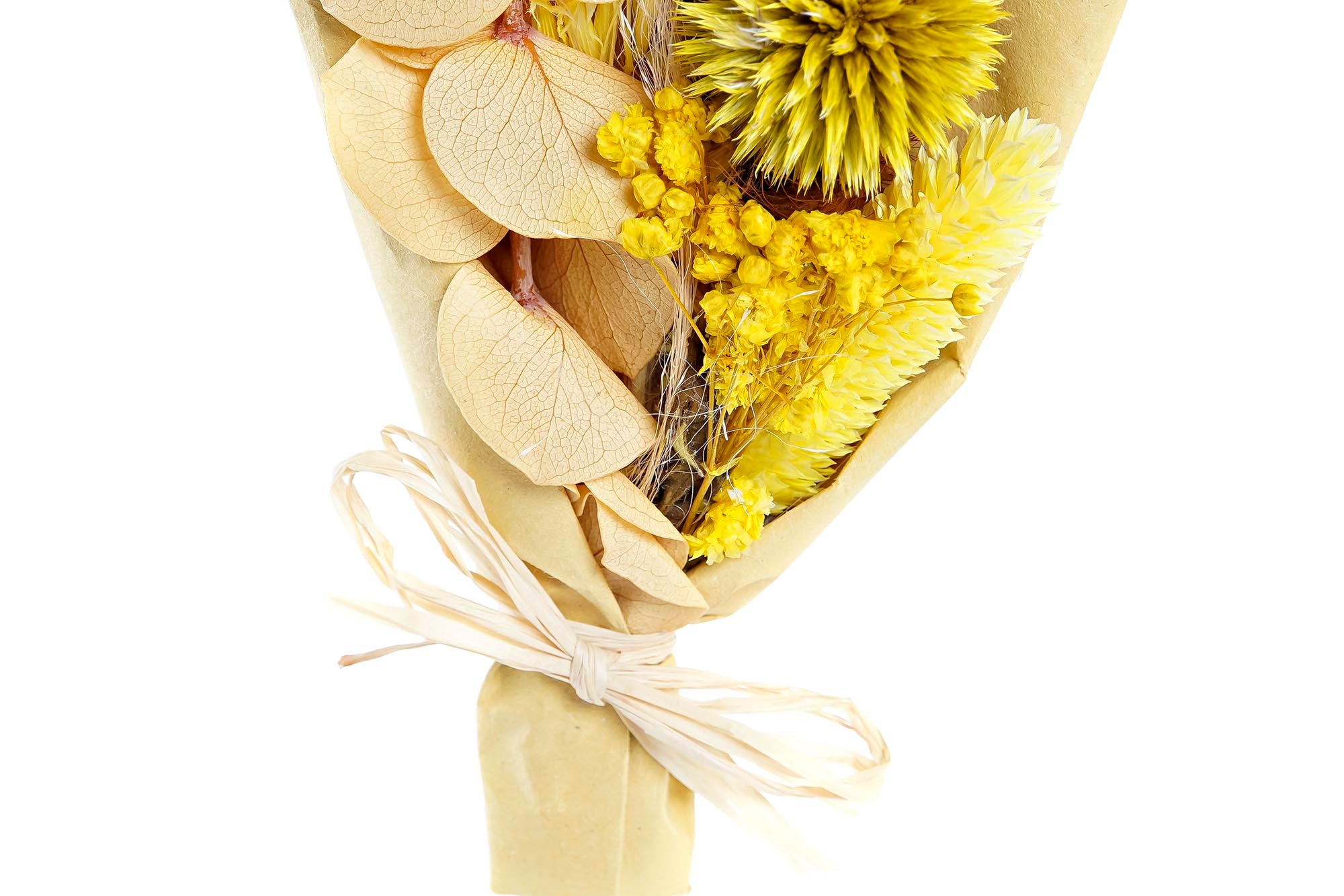 PACK DE 6 RAMO FLOR SECA 10X5X18 2 SURT.