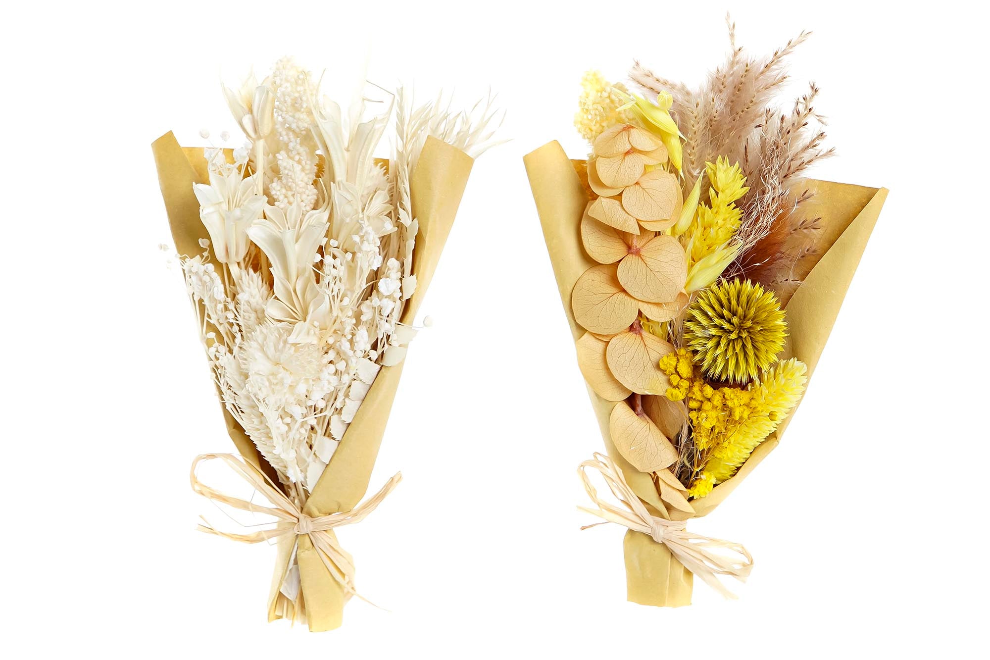 PACK DE 6 RAMO FLOR SECA 10X5X18 2 SURT.