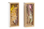 PACK DE 6 RAMO FLOR SECA 10X5X23 2 SURT.
