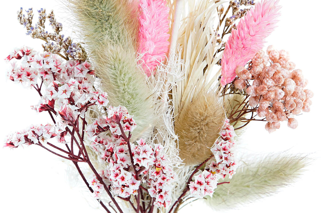 PACK DE 6 RAMO FLOR SECA 10X5X23 2 SURT.