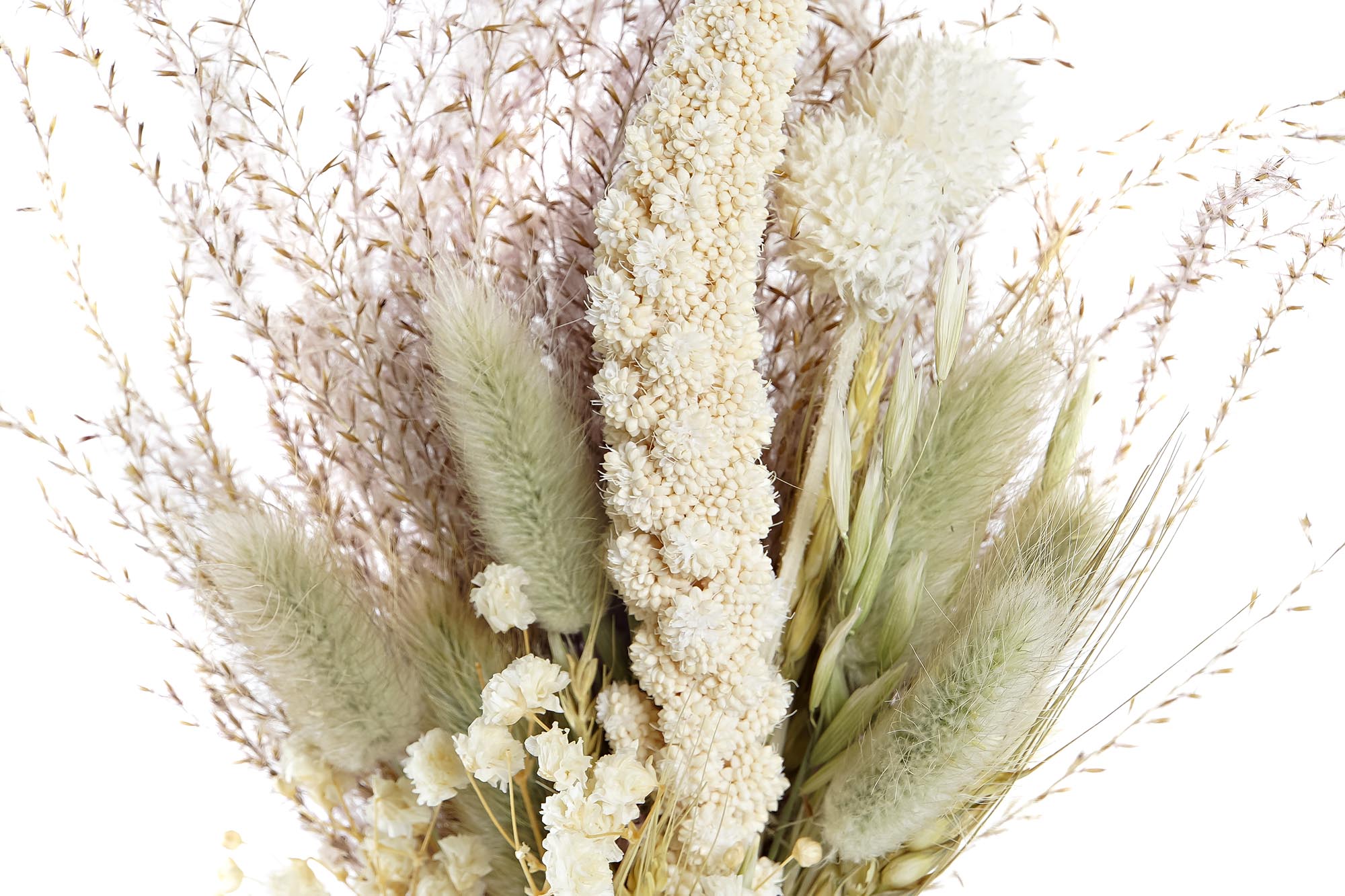 PACK DE 6 RAMO FLOR SECA 10X5X23 2 SURT.