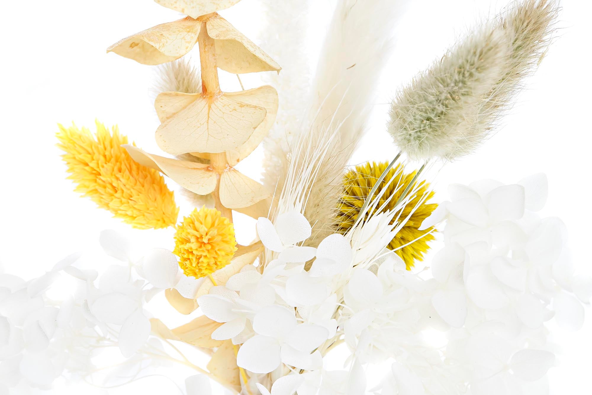 PACK DE 6 RAMO FLOR SECA 10X5X23 2 SURT.