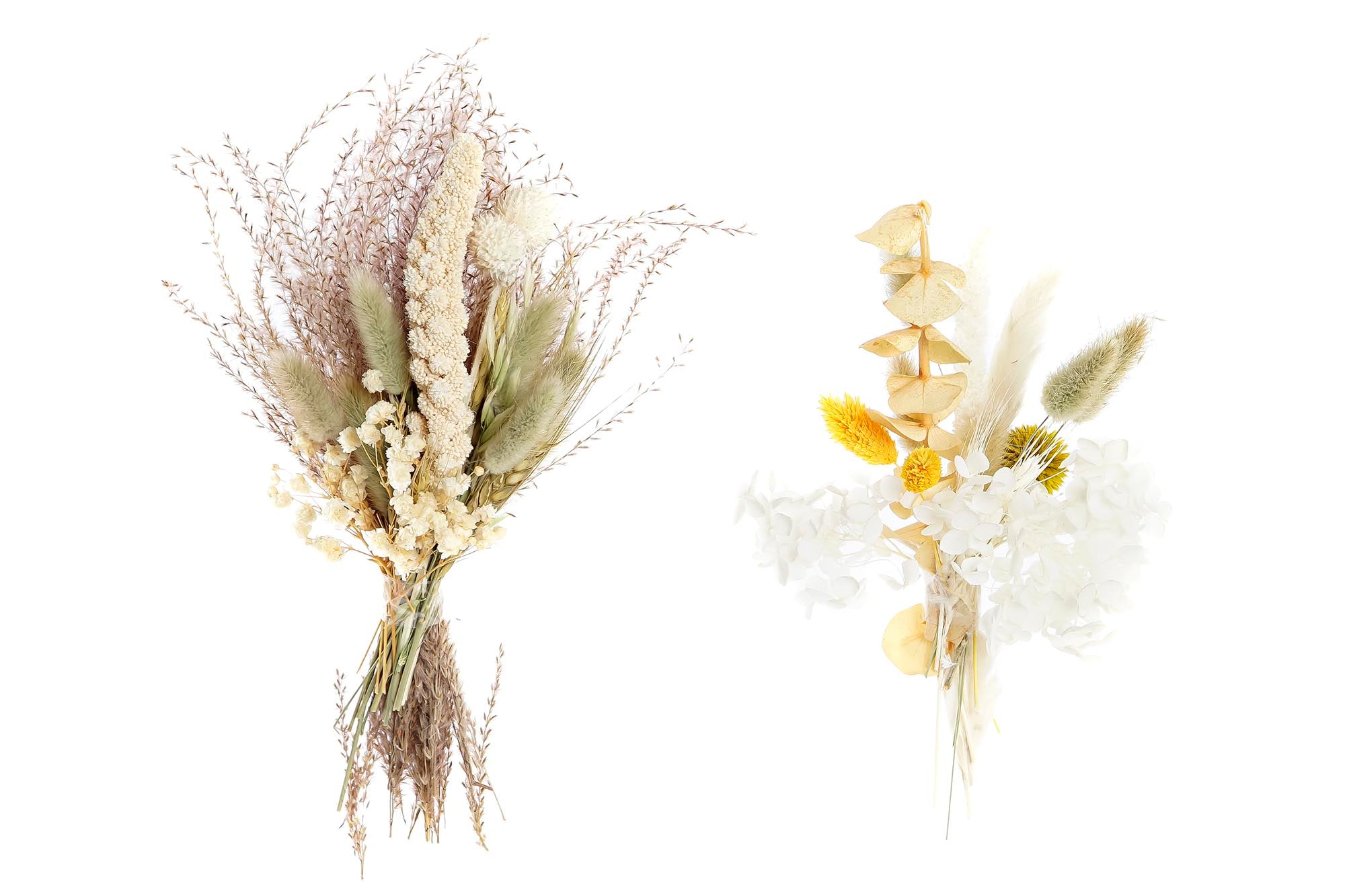 PACK DE 6 RAMO FLOR SECA 10X5X23 2 SURT.