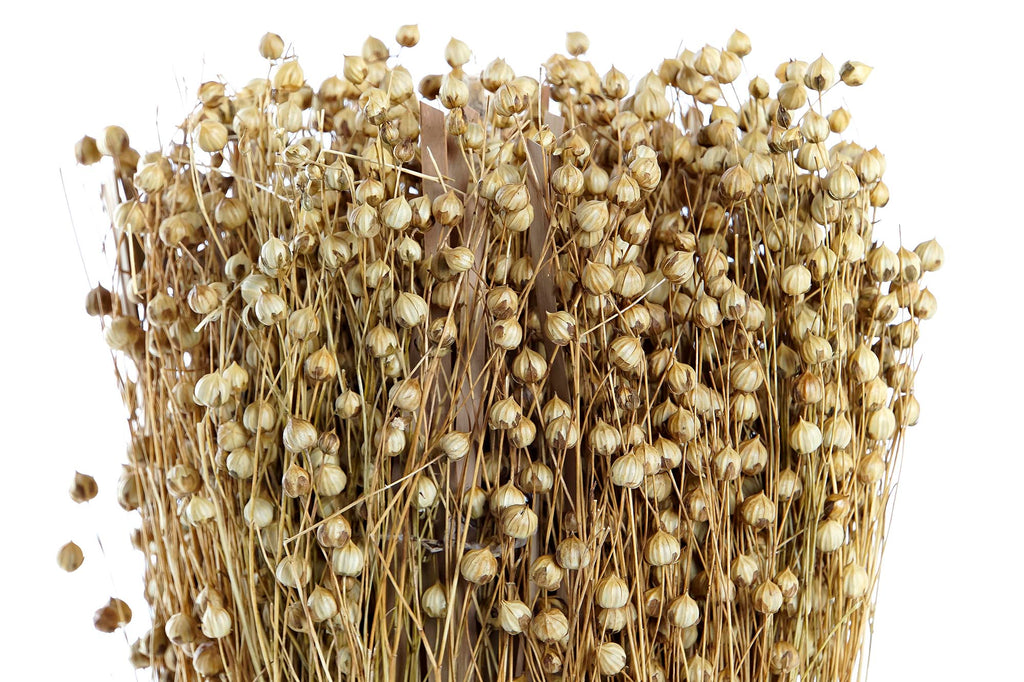 PACK DE 12 BOUQUET FLOR SECA 12X12X31 TISHI LINAZA NATURAL