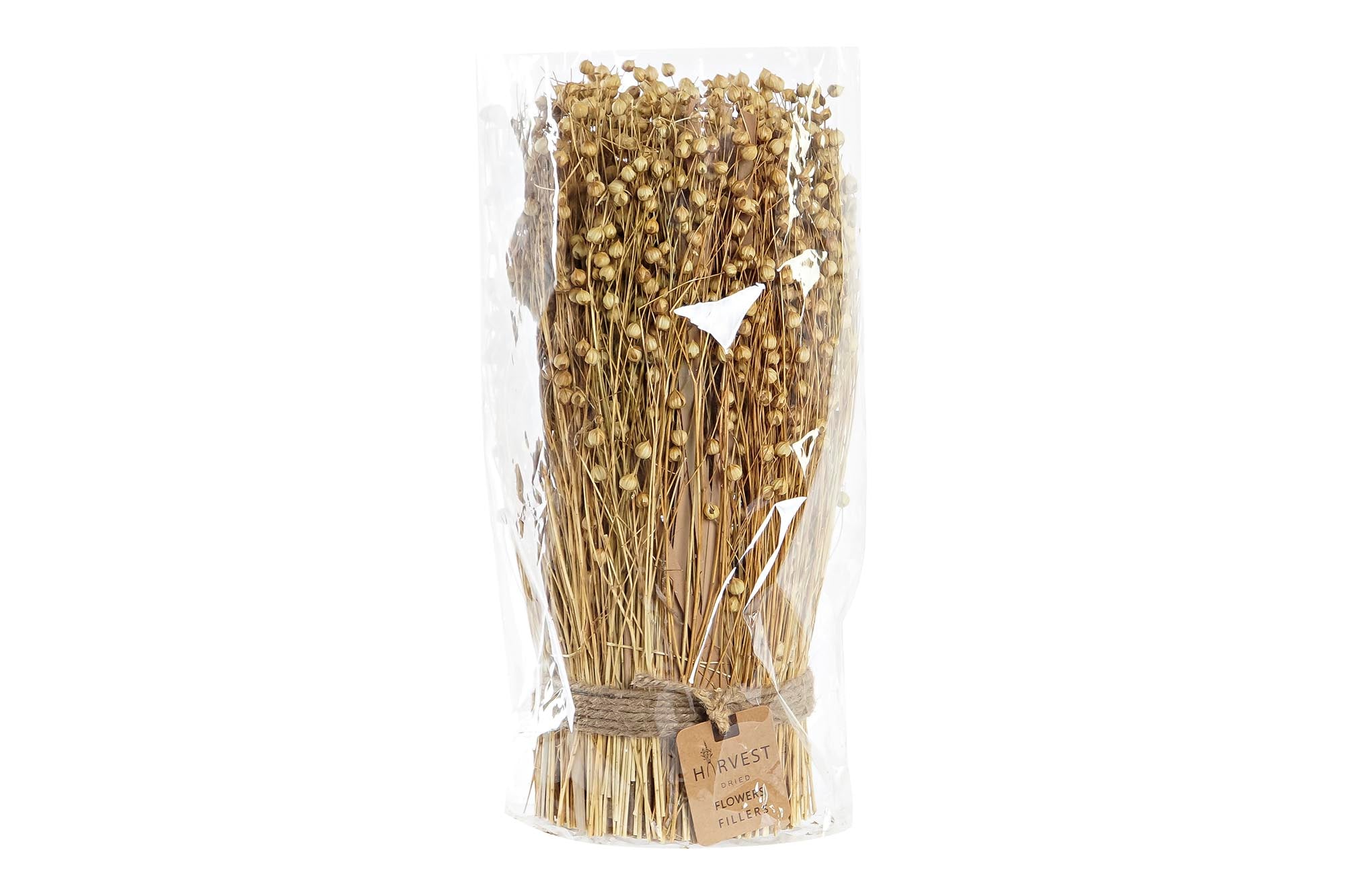 PACK DE 12 BOUQUET FLOR SECA 12X12X31 TISHI LINAZA NATURAL