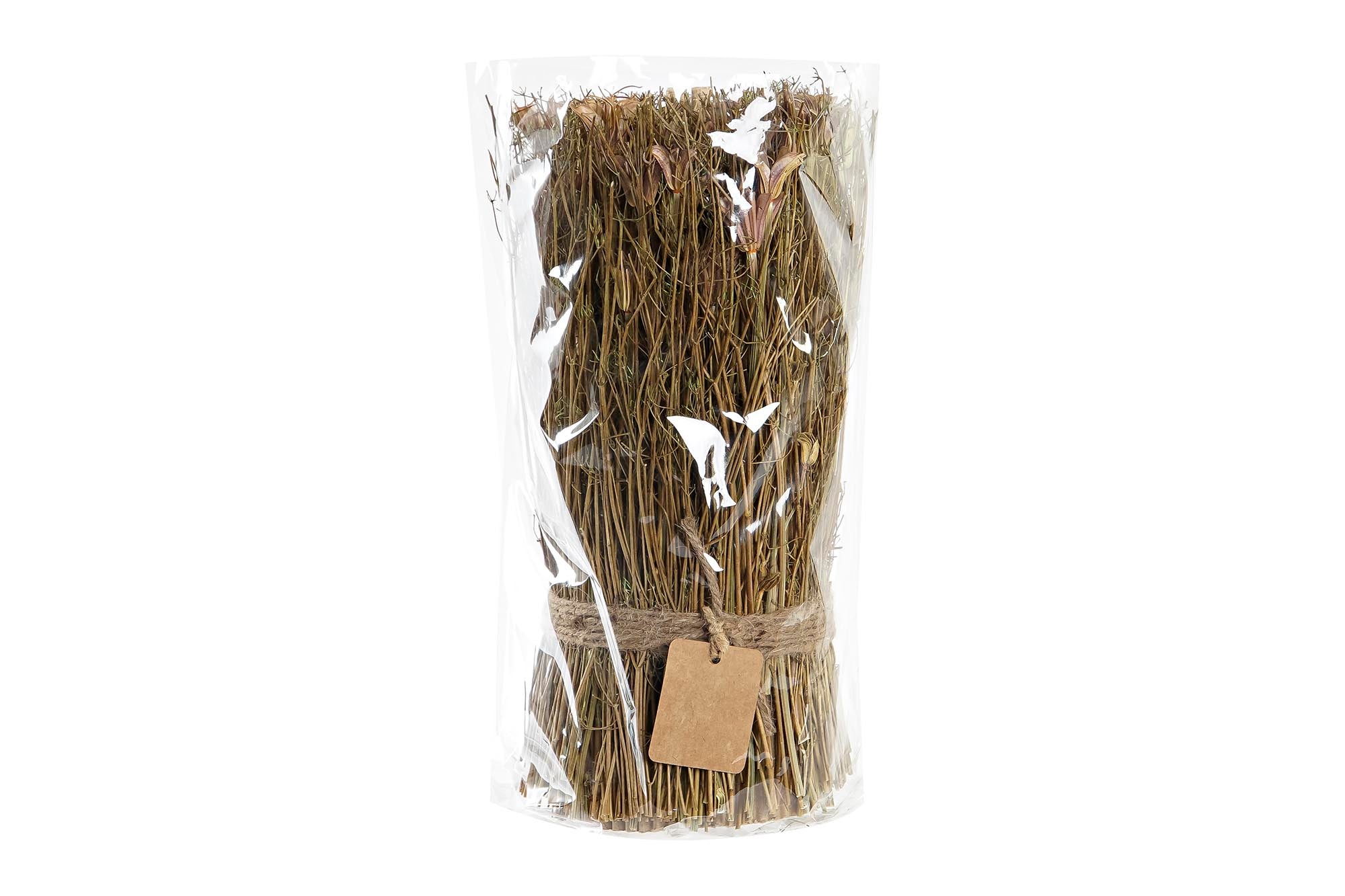 PACK DE 12 BOUQUET FLOR SECA 12X12X30 NATURAL