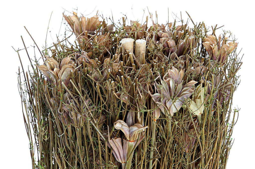 PACK DE 12 BOUQUET FLOR SECA 12X12X30 NATURAL
