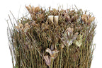 PACK DE 12 BOUQUET FLOR SECA 12X12X30 NATURAL