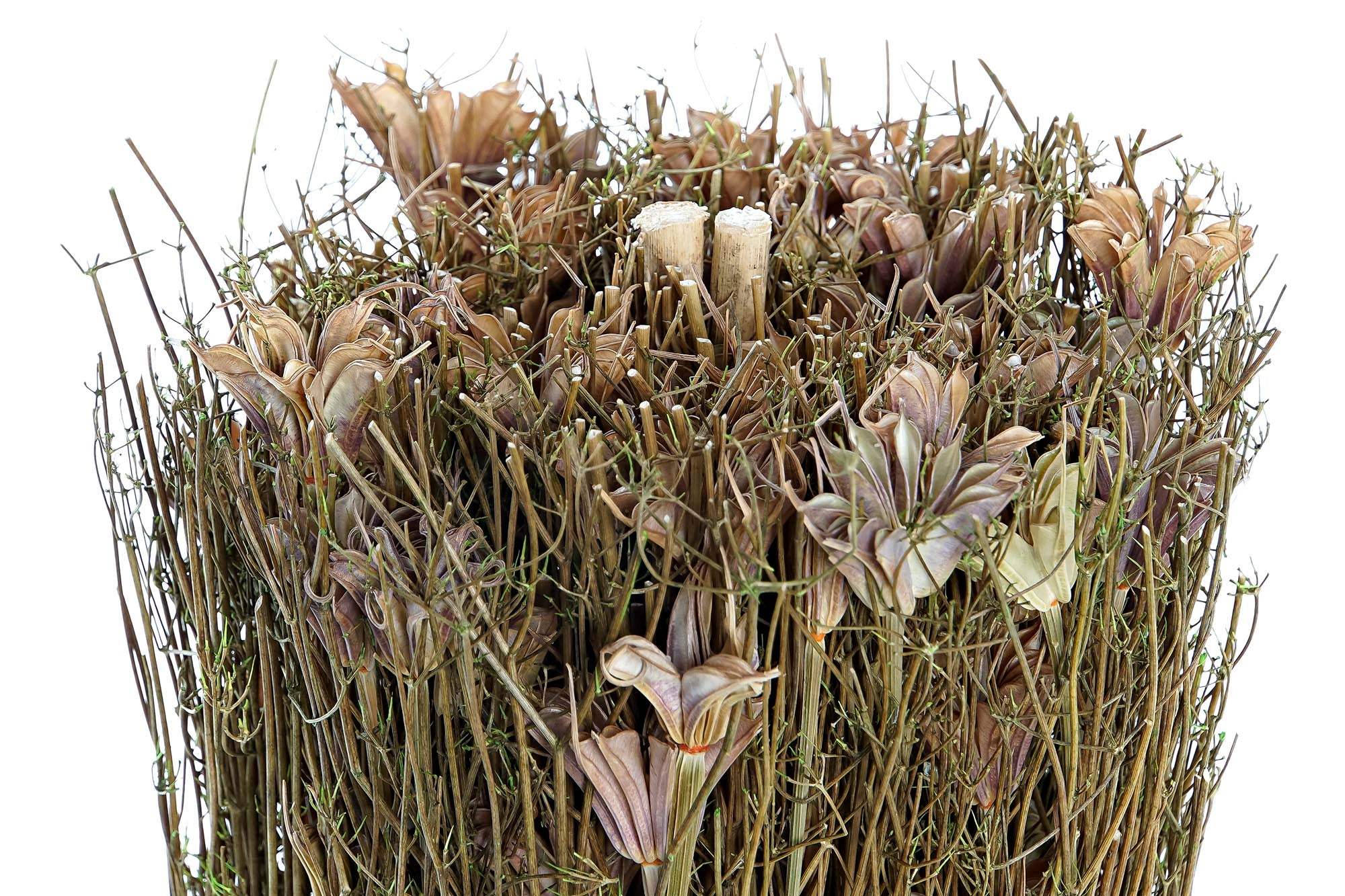 PACK DE 12 BOUQUET FLOR SECA 12X12X30 NATURAL