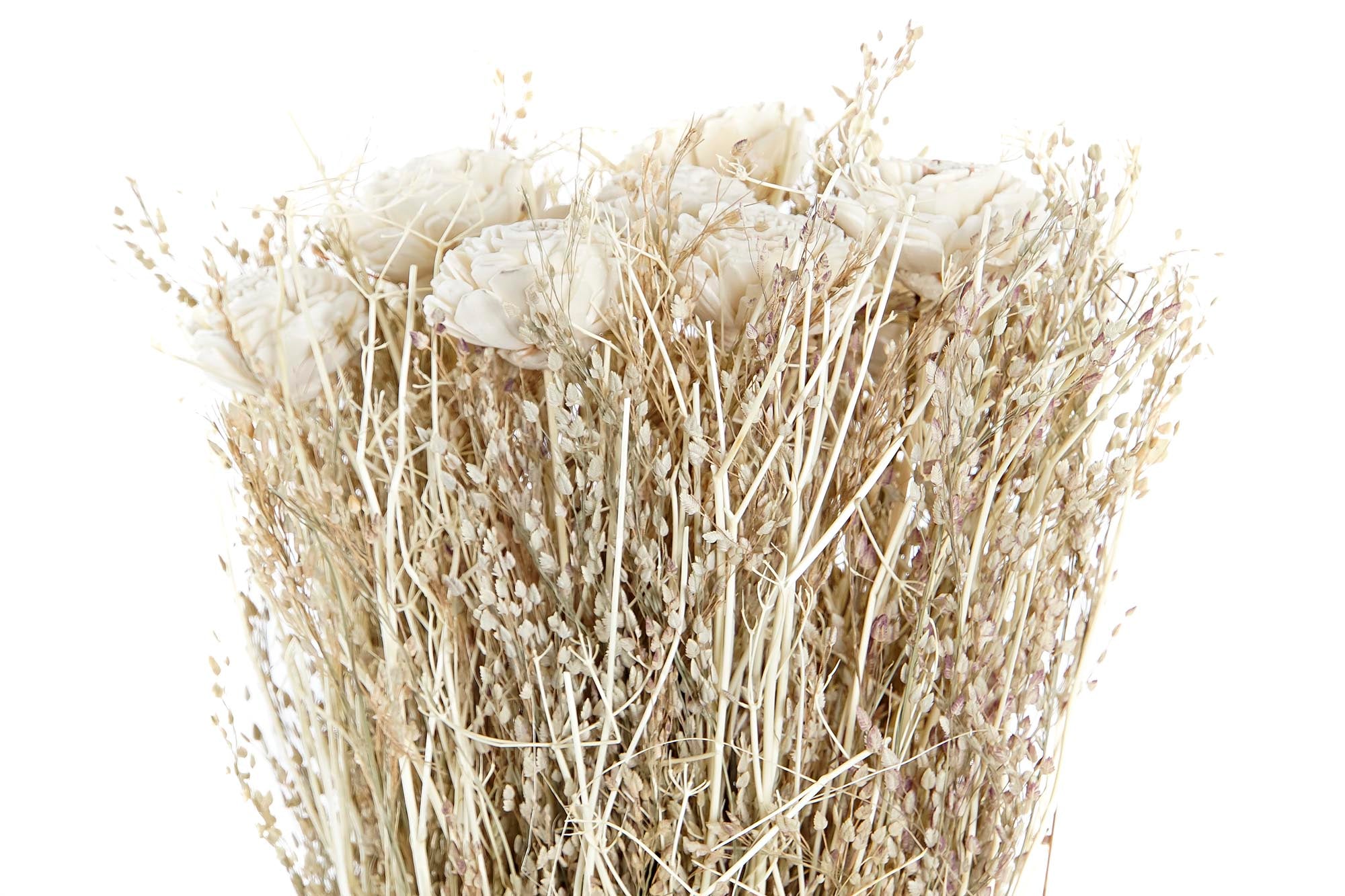 PACK DE 12 RAMO FLOR SECA 17X17X53 SOLA BELI NATURAL