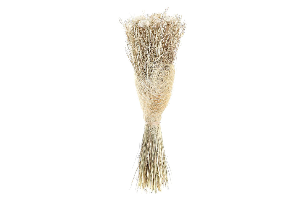 PACK DE 12 RAMO FLOR SECA 17X17X53 SOLA BELI NATURAL