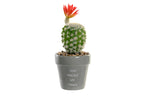 PACK DE 8 PLANTA CERAMICA PE 8X8X20 CACTUS 2 SURT.