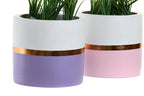 PACK DE 4 PLANTA CERAMICA PE 10,5X10,5X20 LAVANDA 2 SURT.