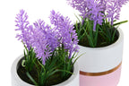 PACK DE 4 PLANTA CERAMICA PE 10,5X10,5X20 LAVANDA 2 SURT.