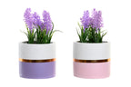 PACK DE 4 PLANTA CERAMICA PE 10,5X10,5X20 LAVANDA 2 SURT.