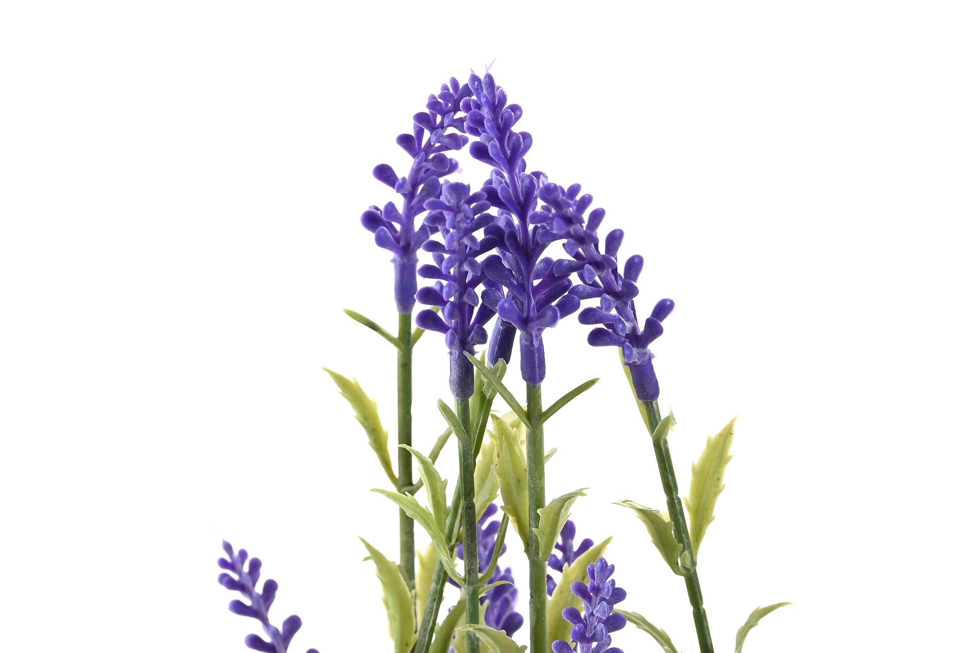 PACK DE 6 PLANTA CERAMICA PE 11X11X28 LAVANDA 2 SURT.