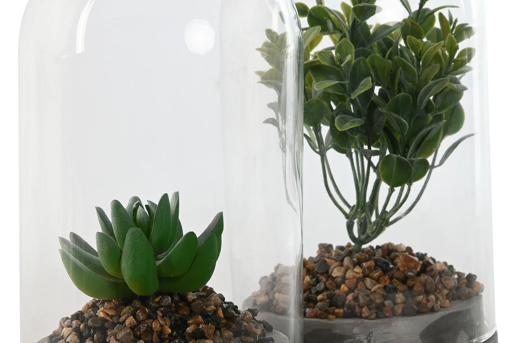 PACK DE 4 PLANTA PE CRISTAL 12X12X18 2 SURT.