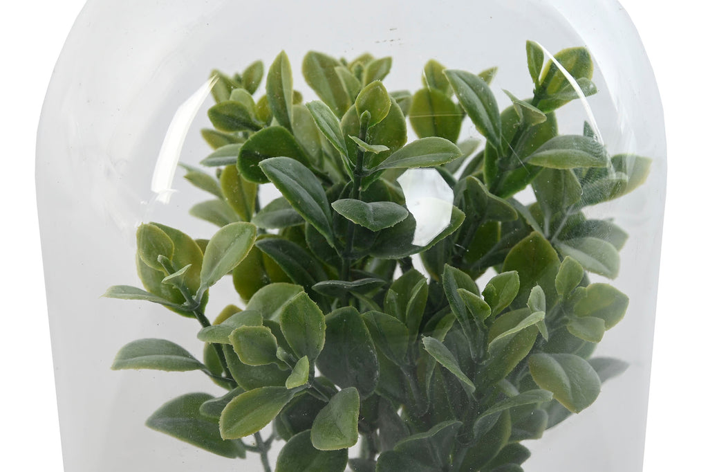 PACK DE 4 PLANTA PE CRISTAL 12X12X18 2 SURT.