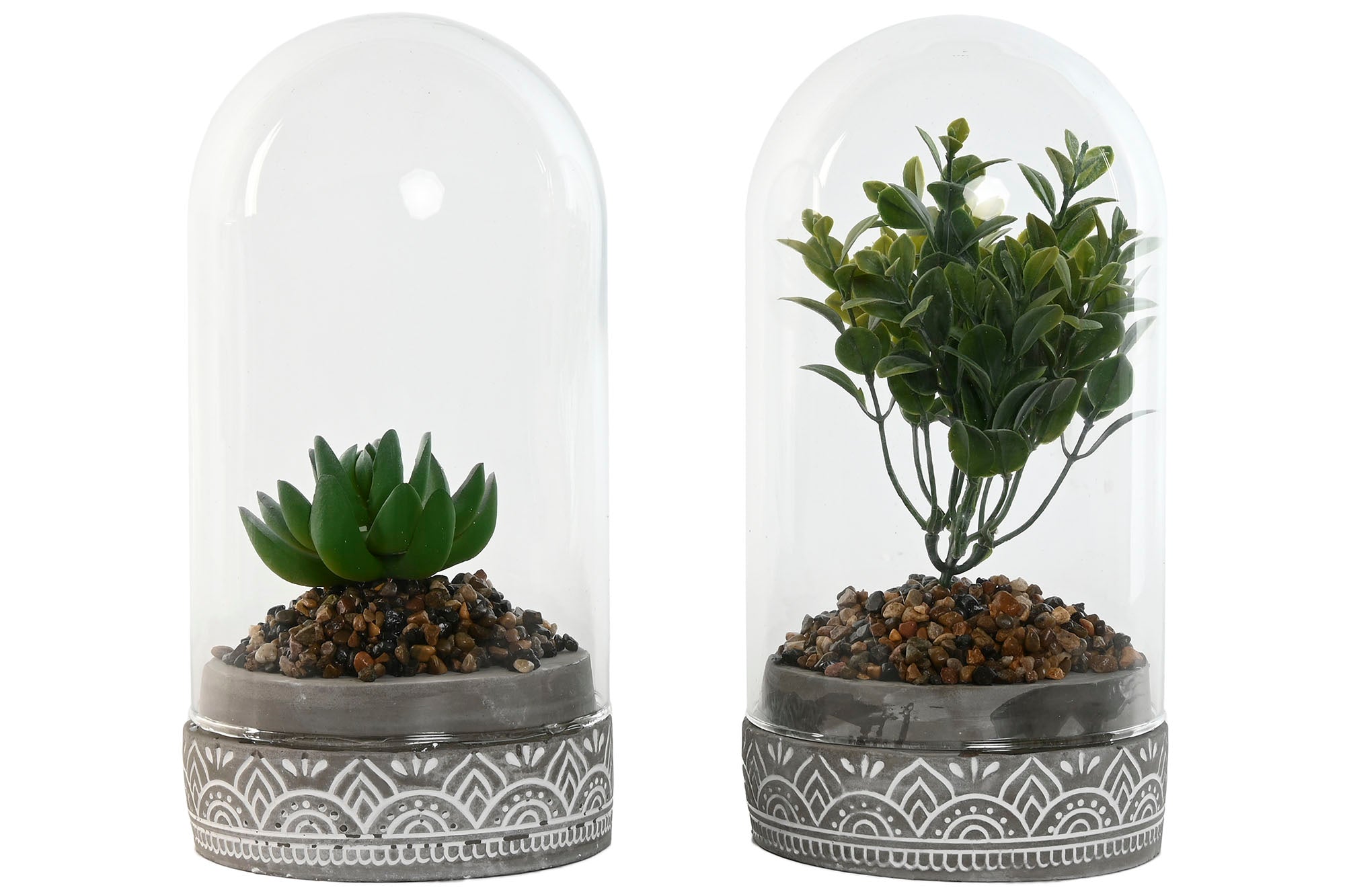 PACK DE 4 PLANTA PE CRISTAL 12X12X18 2 SURT.